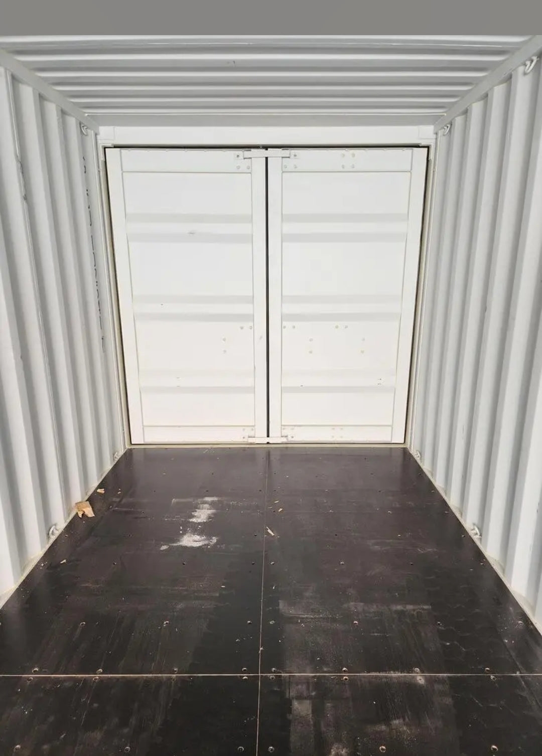 Contentor novo/de viagem única de 6 metros com porta dupla